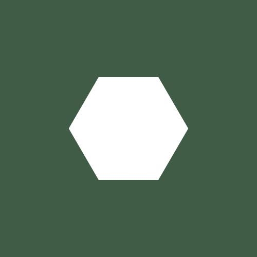 FODZYME
